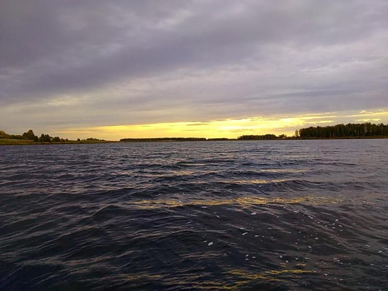 P_20200918_082026_EFF.jpg