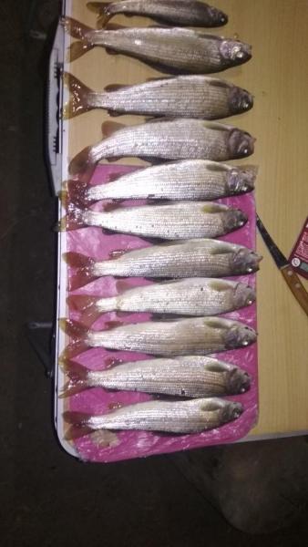 IMG_20200814_213720.jpg