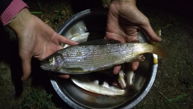 IMG_20200804_214743.jpg