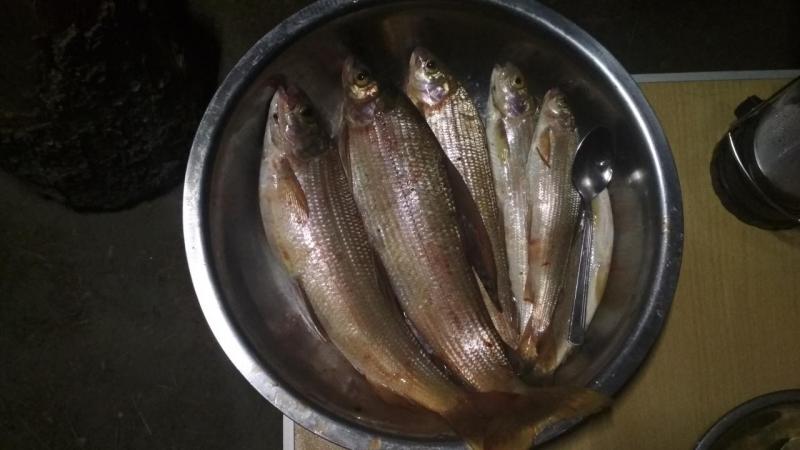 IMG_20200810_213641.jpg
