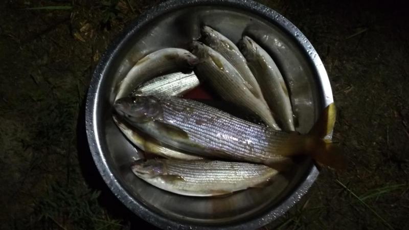 IMG_20200804_214750.jpg