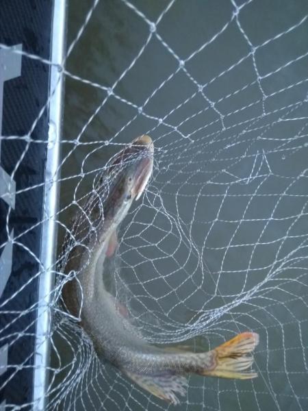 IMG_20200920_071959.jpg