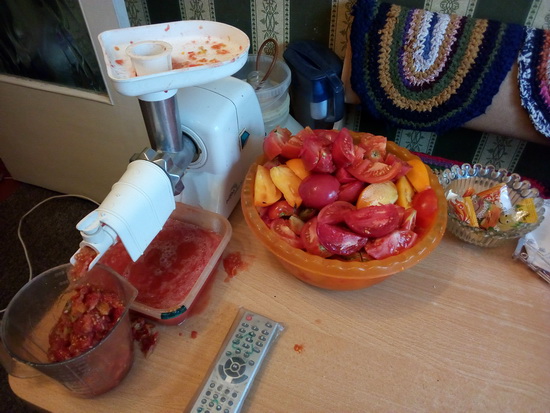 IMG_20200905_145721.jpg