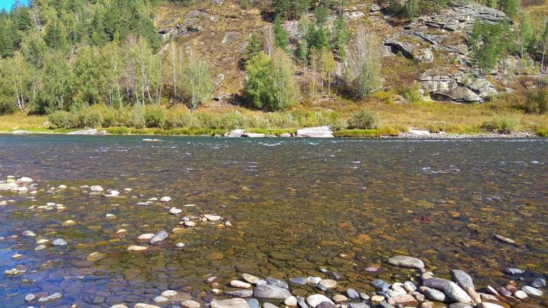 Прикрепленное изображение