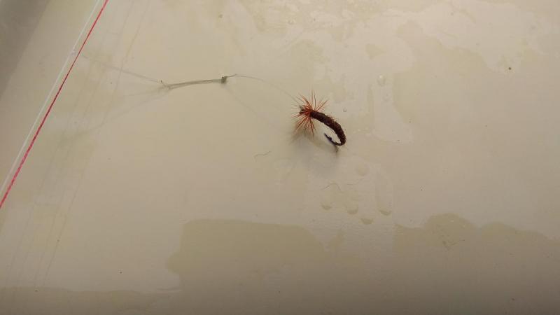 Прикрепленное изображение