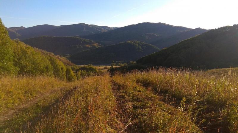 Прикрепленное изображение