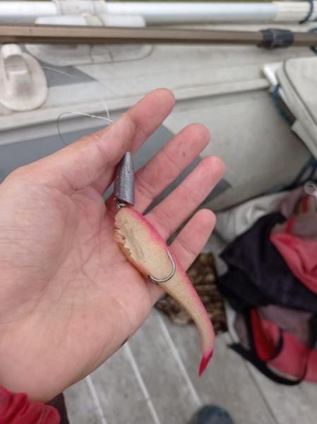 Прикрепленное изображение: 4.jpg