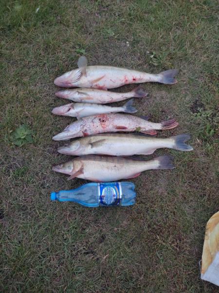 IMG-20210924-WA0015.jpg