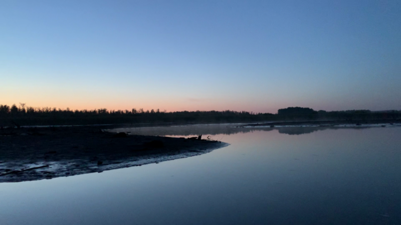 Scene 0 (00.01.35.000).png