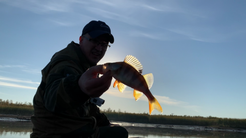 IMG_3091_ 52 (00.08.28.933).png