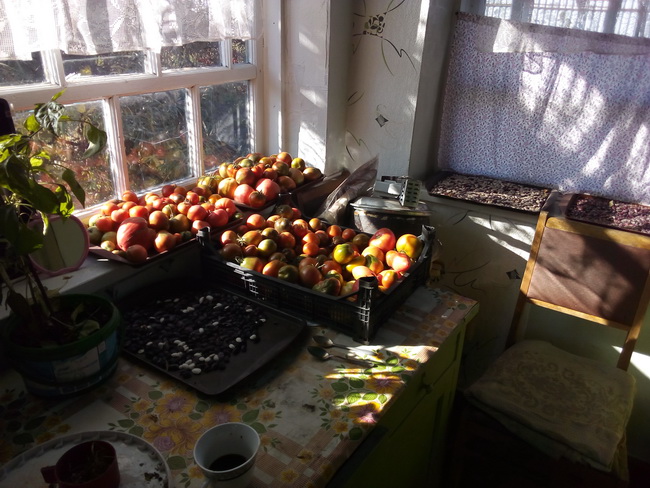 IMG_20210907_100229.jpg