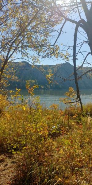 Прикрепленное изображение: 20220921_150529_HDR.jpg