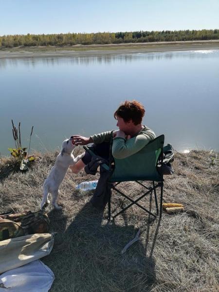 Прикрепленное изображение