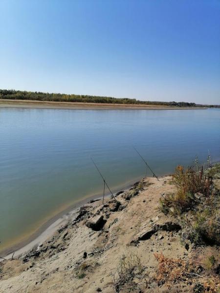 Прикрепленное изображение