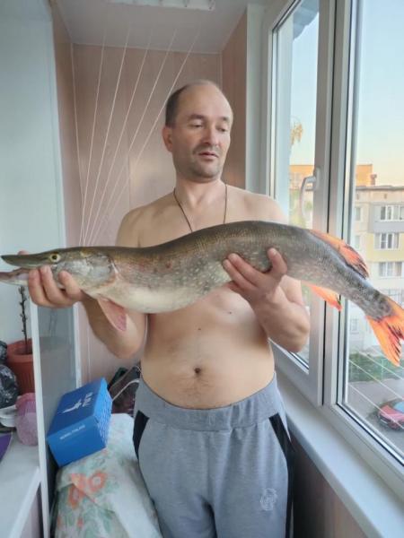 Прикрепленное изображение: IMG-20220922-WA0061.jpg