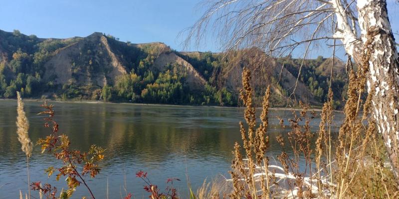 20220905_090424_HDR.jpg