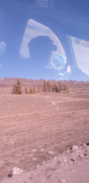 IMG-20220925-WA0002.jpg