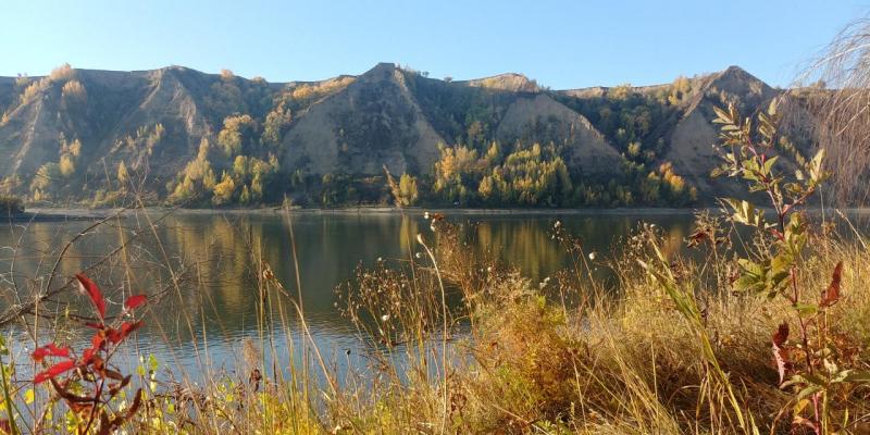 20220922_084250_HDR.jpg