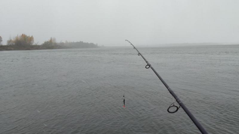 IMG_20220929_122901.jpg