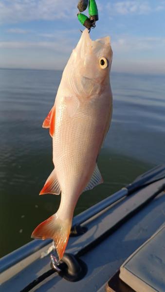 IMG_20250905_185429.jpg