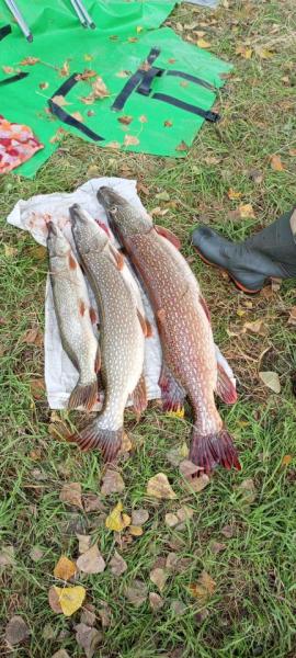 IMG_20250913_163603_385.jpg