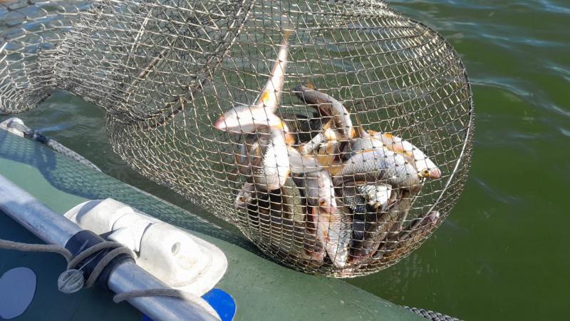 IMG-20250915-WA0005.jpeg