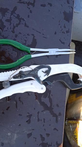 IMG-20250926-WA0013.jpeg