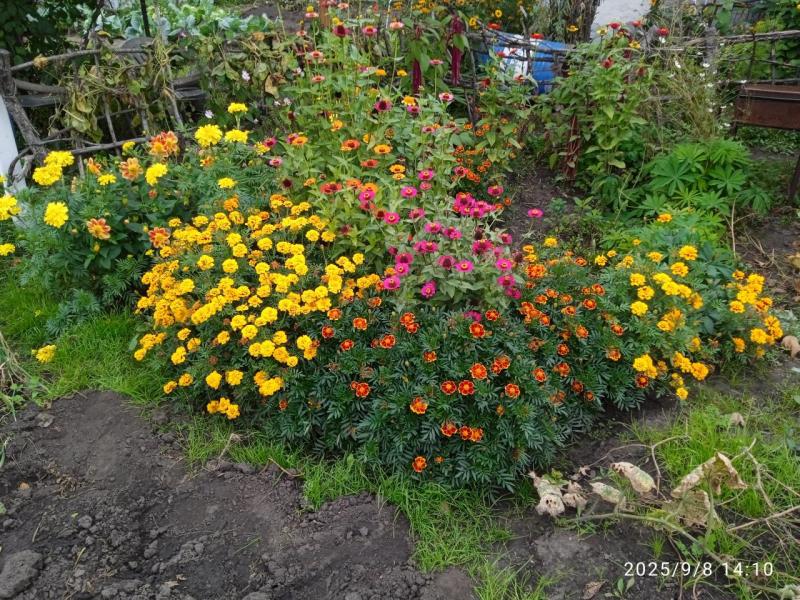 IMG_20250908_141015_2.jpg