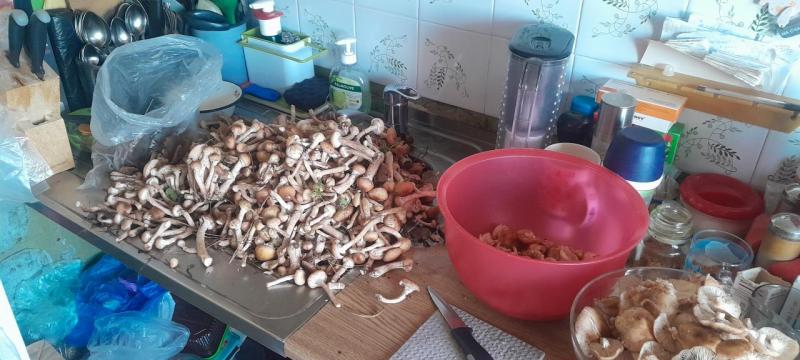 20260910_162541.jpg