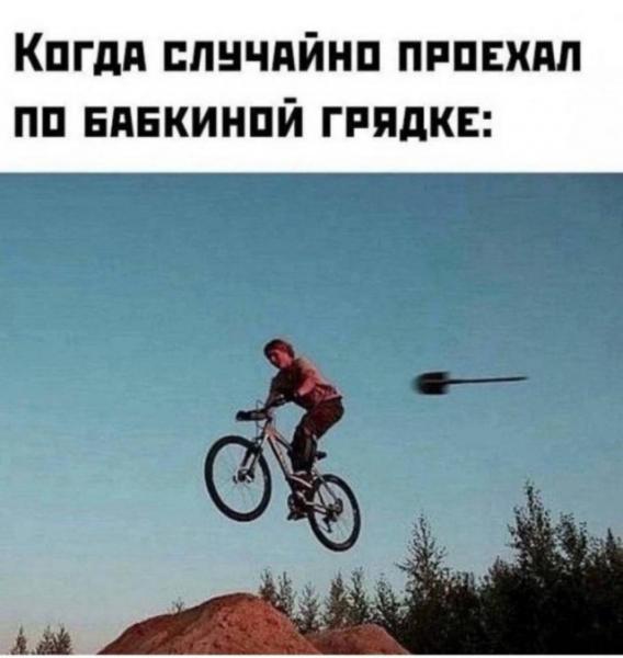 грядка.jpg