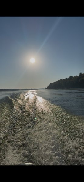IMG_0542.PNG