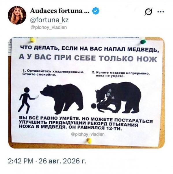 коли миху.jpg