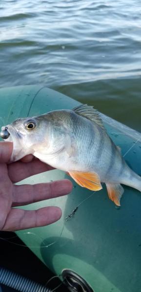 IMG_20260924_105712.jpg