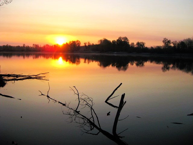 IMG_1539_23-03-10.JPG
