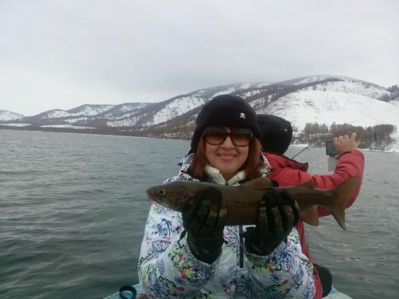 Прикрепленное изображение