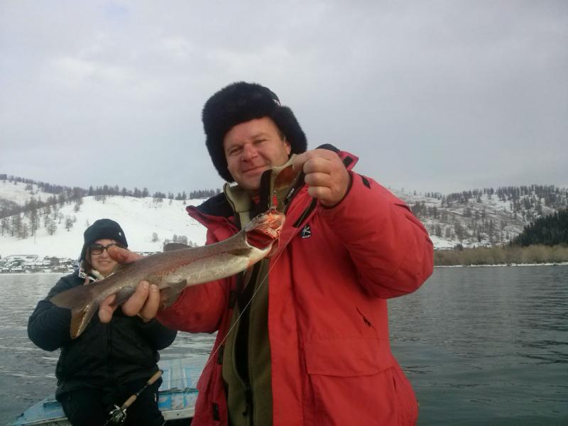 Прикрепленное изображение