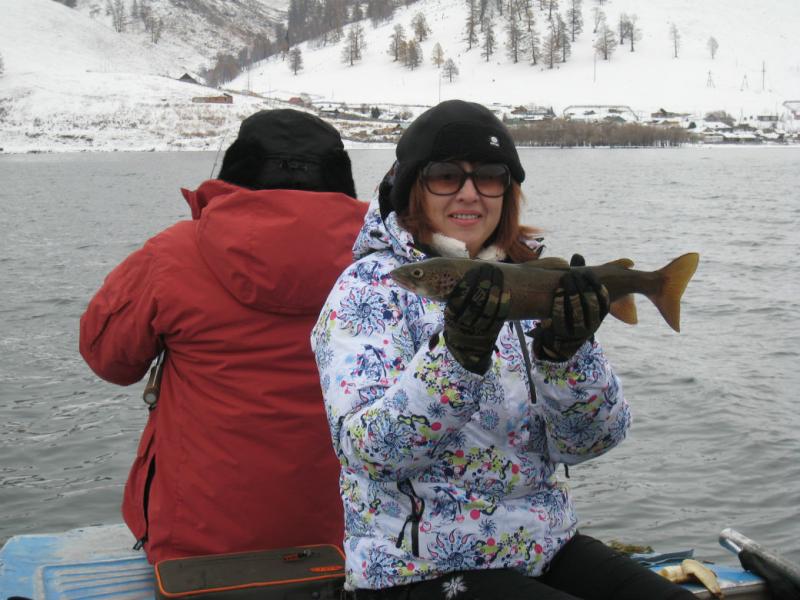 Прикрепленное изображение