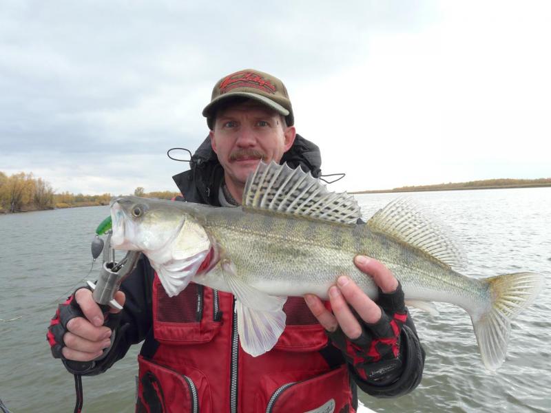 Прикрепленное изображение