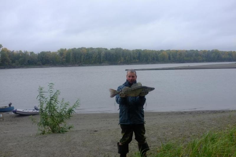 Прикрепленное изображение