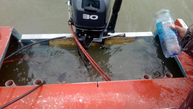 Прикрепленное изображение