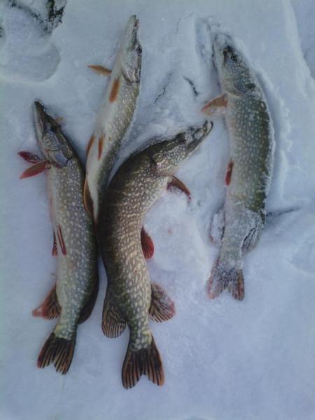 Прикрепленное изображение