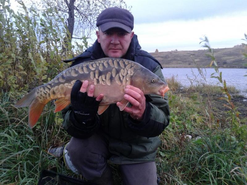 Прикрепленное изображение