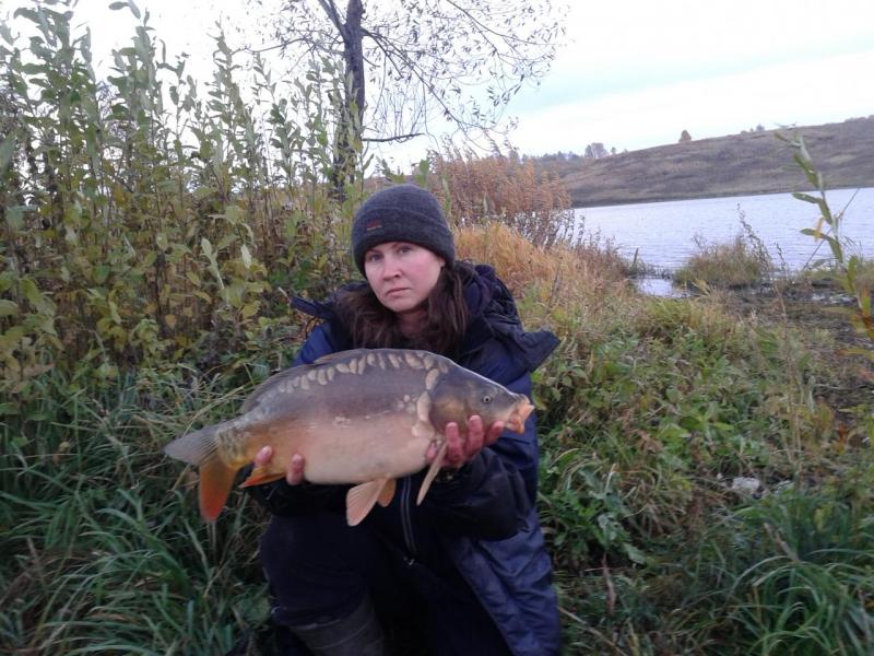 Прикрепленное изображение