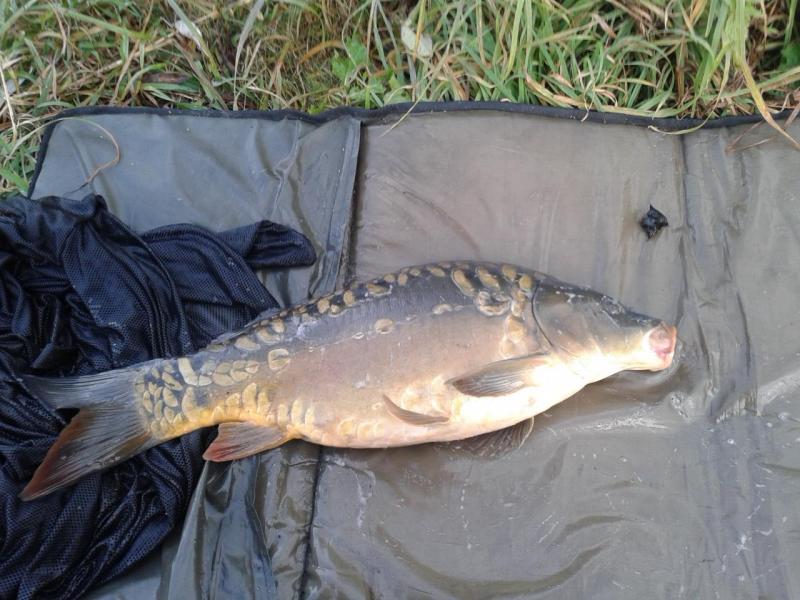 Прикрепленное изображение