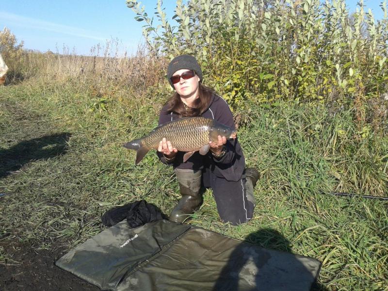 Прикрепленное изображение