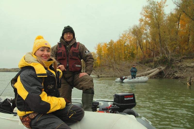 Прикрепленное изображение