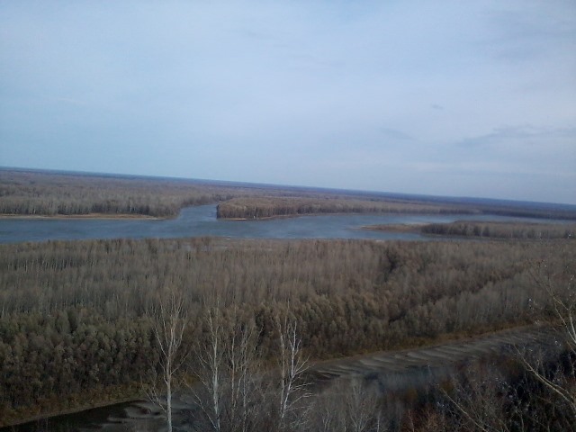 Прикрепленное изображение