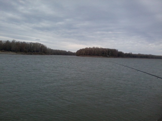 Прикрепленное изображение