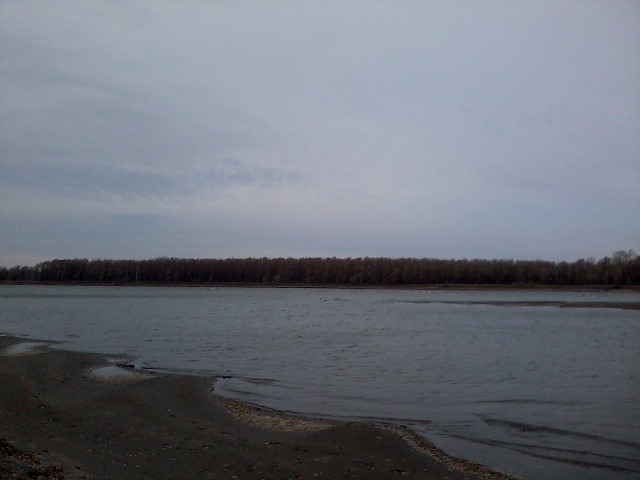 Прикрепленное изображение