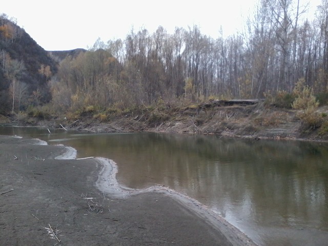 Прикрепленное изображение